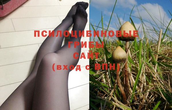 мяу мяу мука Алексин