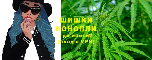 ешки Алзамай