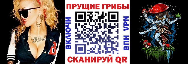 как найти наркотики  Фёдоровский  Галлюциногенные грибы мухоморы 